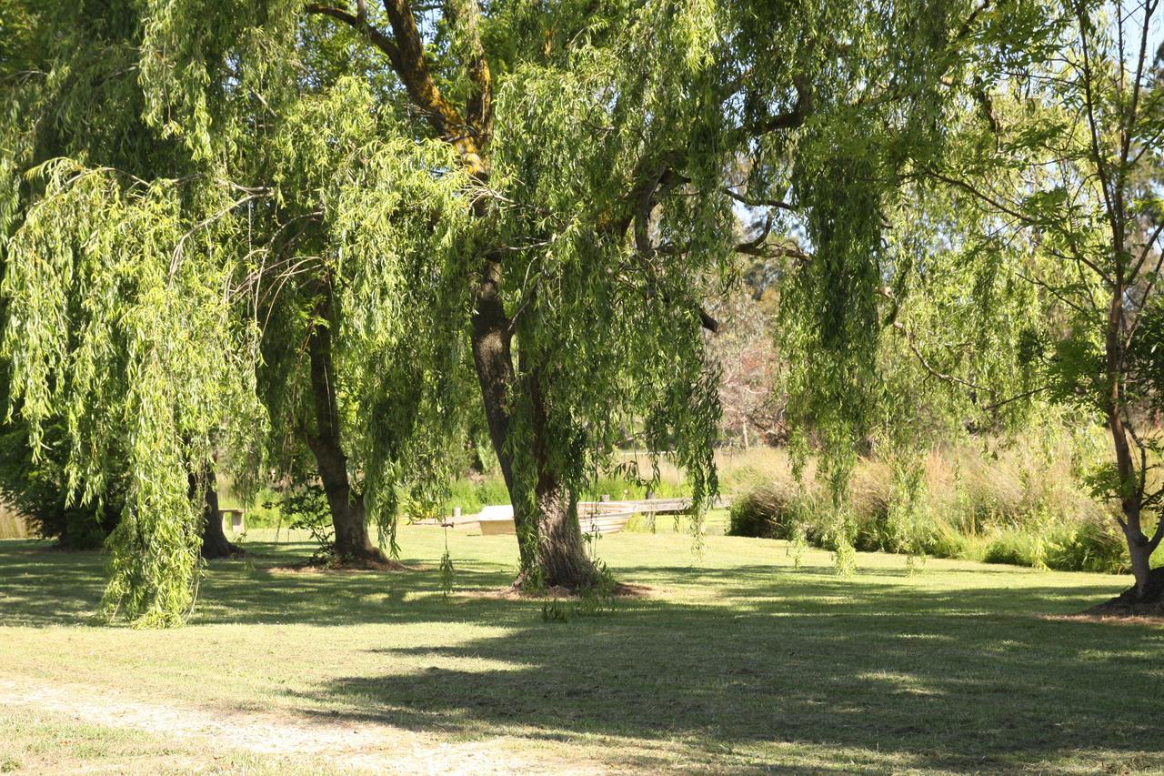 Nyora Little Lake Cottage חדר תמונה